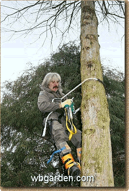 wbgarden climb